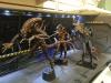 nytf_neca-7_0