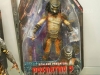 predators-11