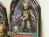 predators-19