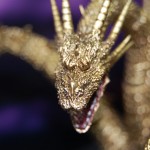 sdcc bandai thefwoosh 6